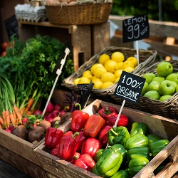 Grocery Stores